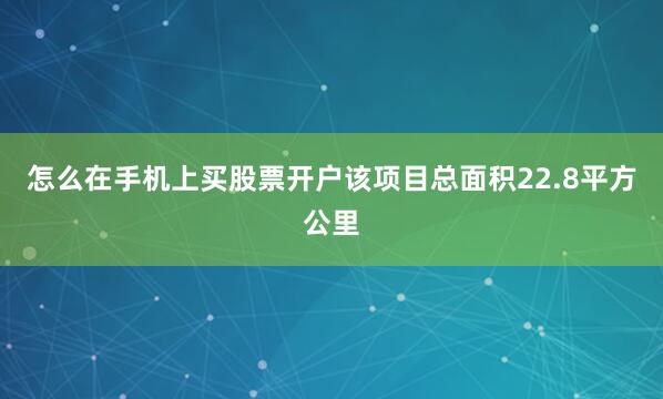 怎么在手机上买股票开户该项目总面积22.8平方公里
