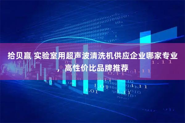 拾贝赢 实验室用超声波清洗机供应企业哪家专业，高性价比品牌推荐