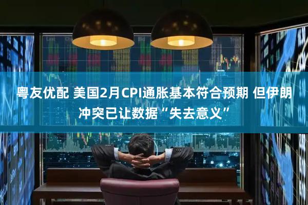 粤友优配 美国2月CPI通胀基本符合预期 但伊朗冲突已让数据“失去意义”