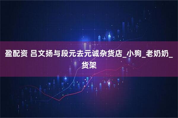 盈配资 吕文扬与段元去元诚杂货店_小狗_老奶奶_货架