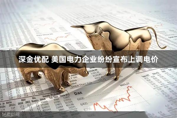 深金优配 美国电力企业纷纷宣布上调电价