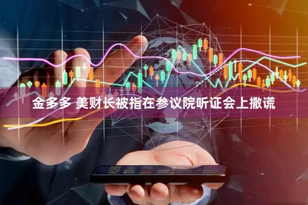 金多多 美财长被指在参议院听证会上撒谎